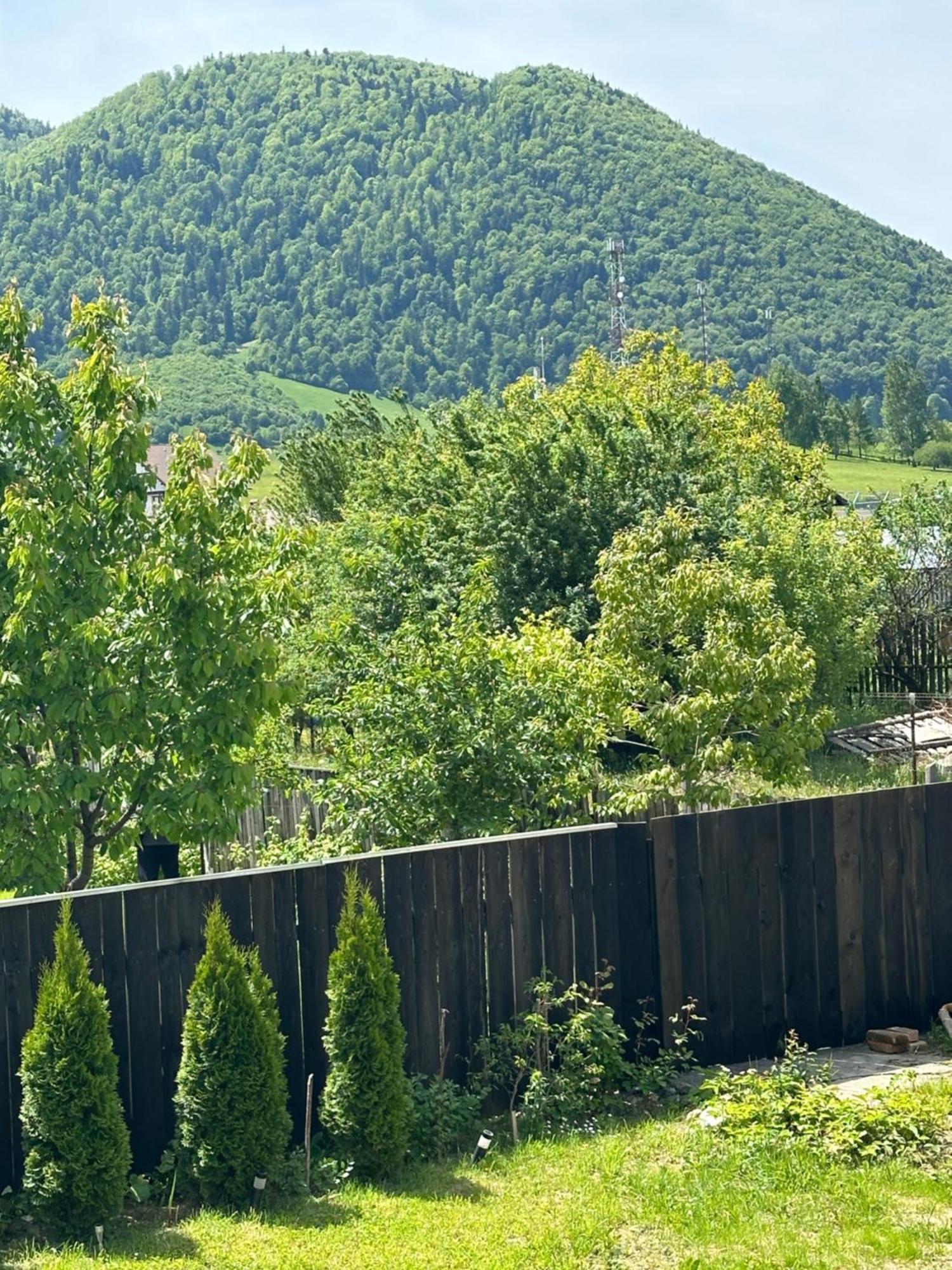 Cazare Zorilor Zărneşti Δωμάτιο φωτογραφία